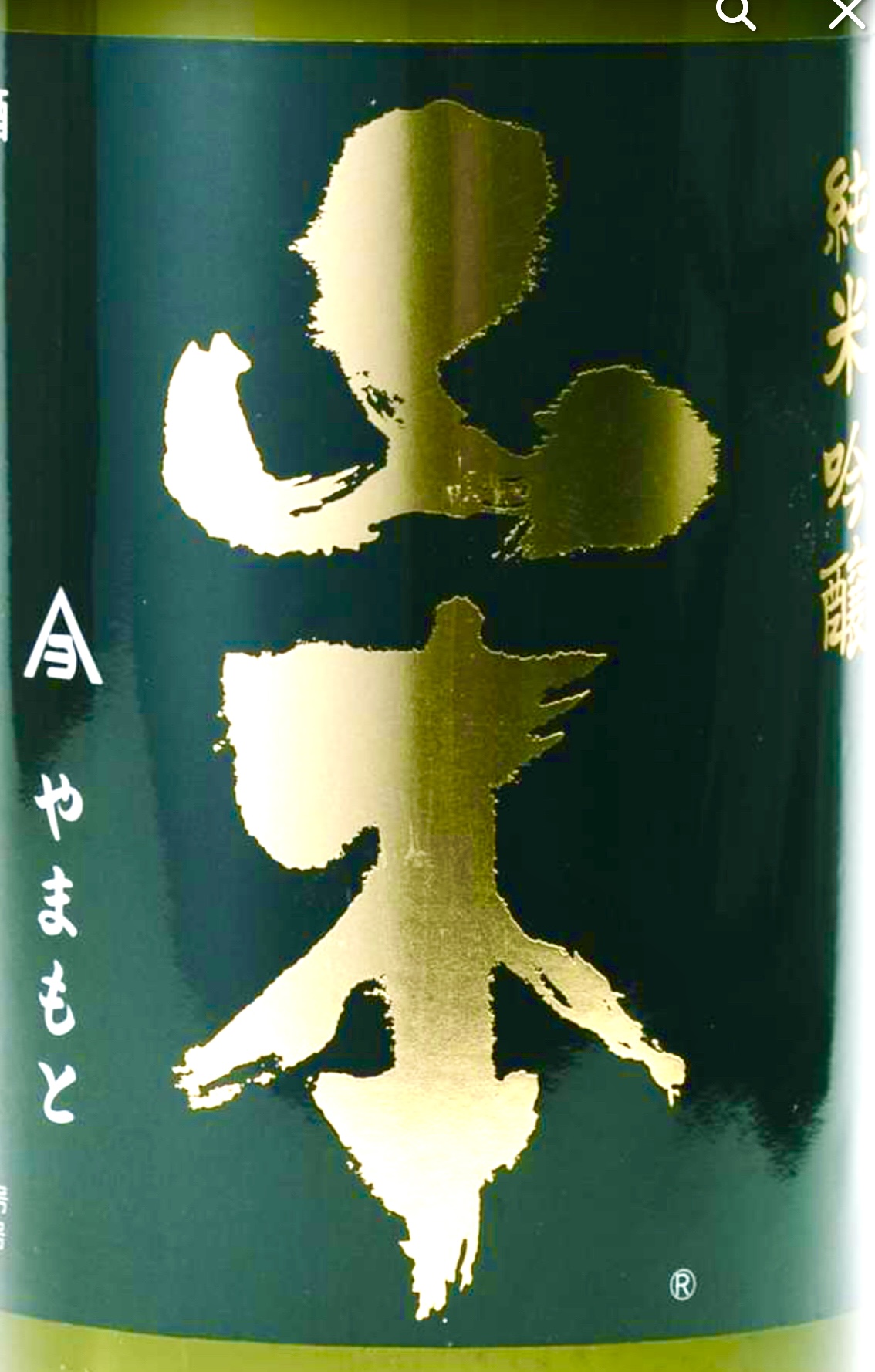 山本